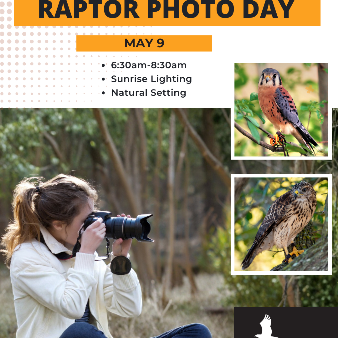 Photo Day - May 9 - logo